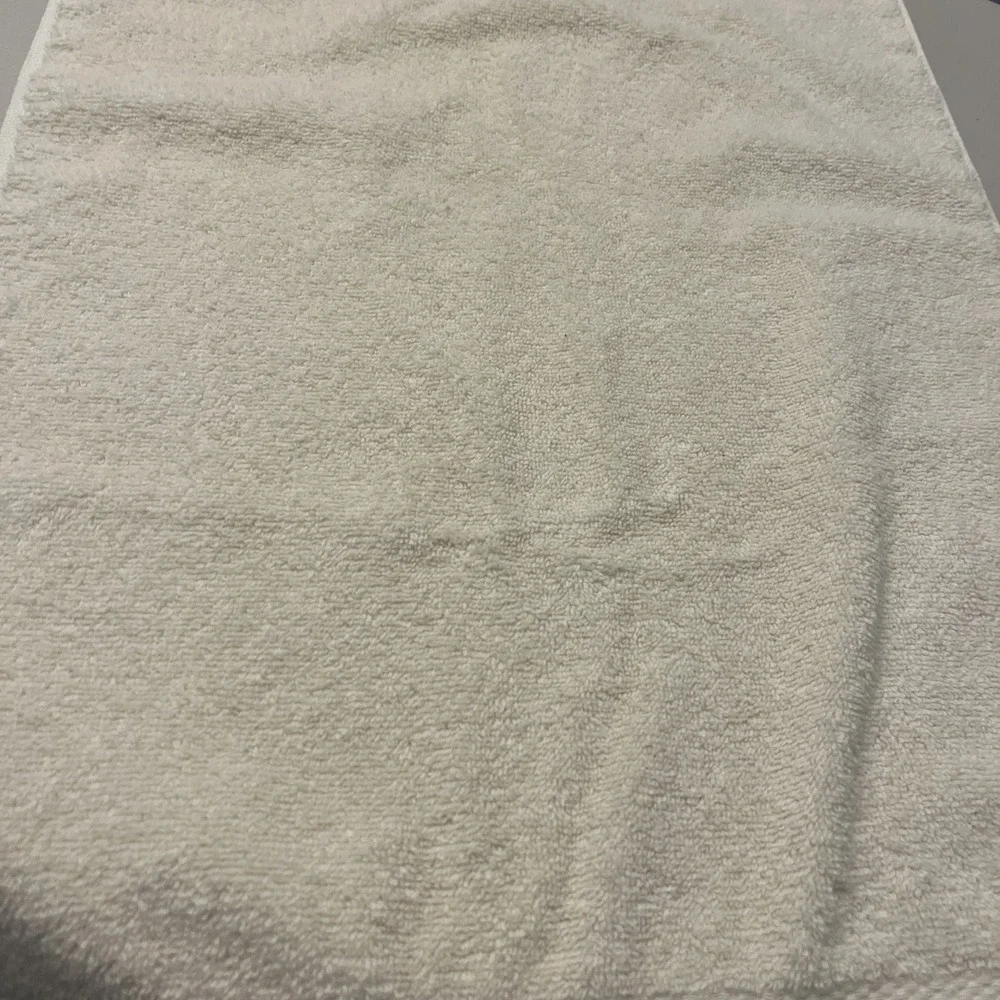Avanti Ivory Rose Floral Hand‎ Towel Embellished Bath Decor Cottagecore